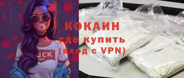 прущие грибы Волоколамск