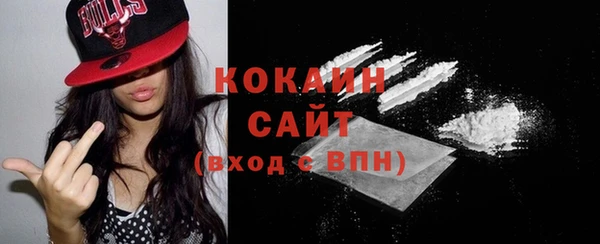 прущие грибы Волоколамск
