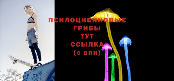 прущие грибы Волоколамск