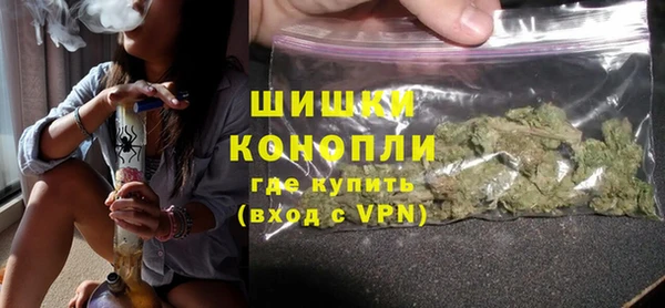 прущие грибы Волоколамск