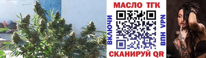 ТГК жижа  где купить наркоту  Высоцк 