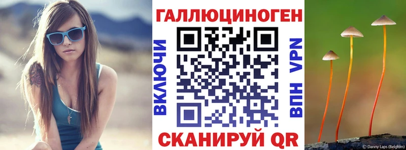 где купить наркотик  Высоцк  Галлюциногенные грибы MAGIC MUSHROOMS 